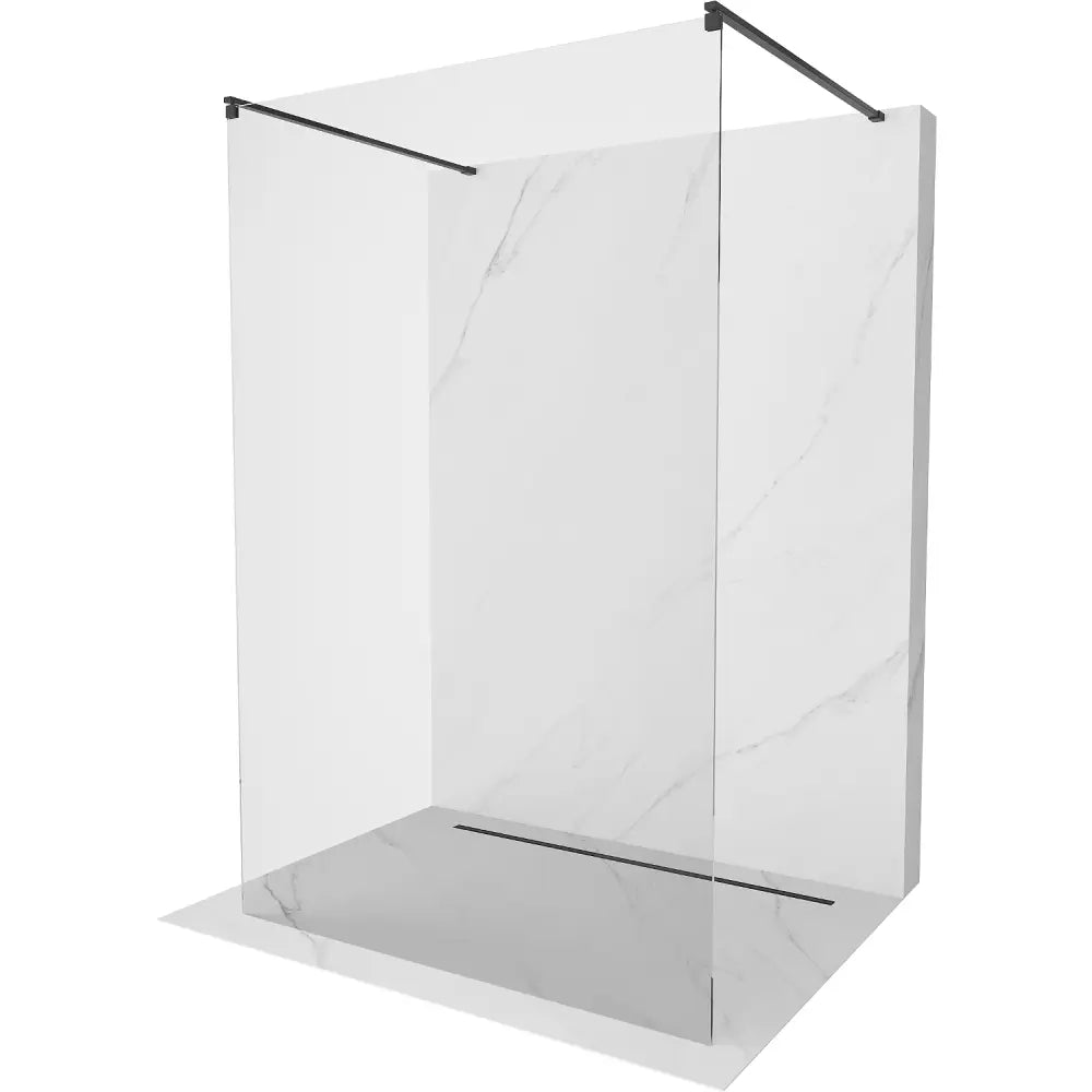 Dusjvegg 170x200 Cm Gjennomsiktig 8 Mm Svart S1