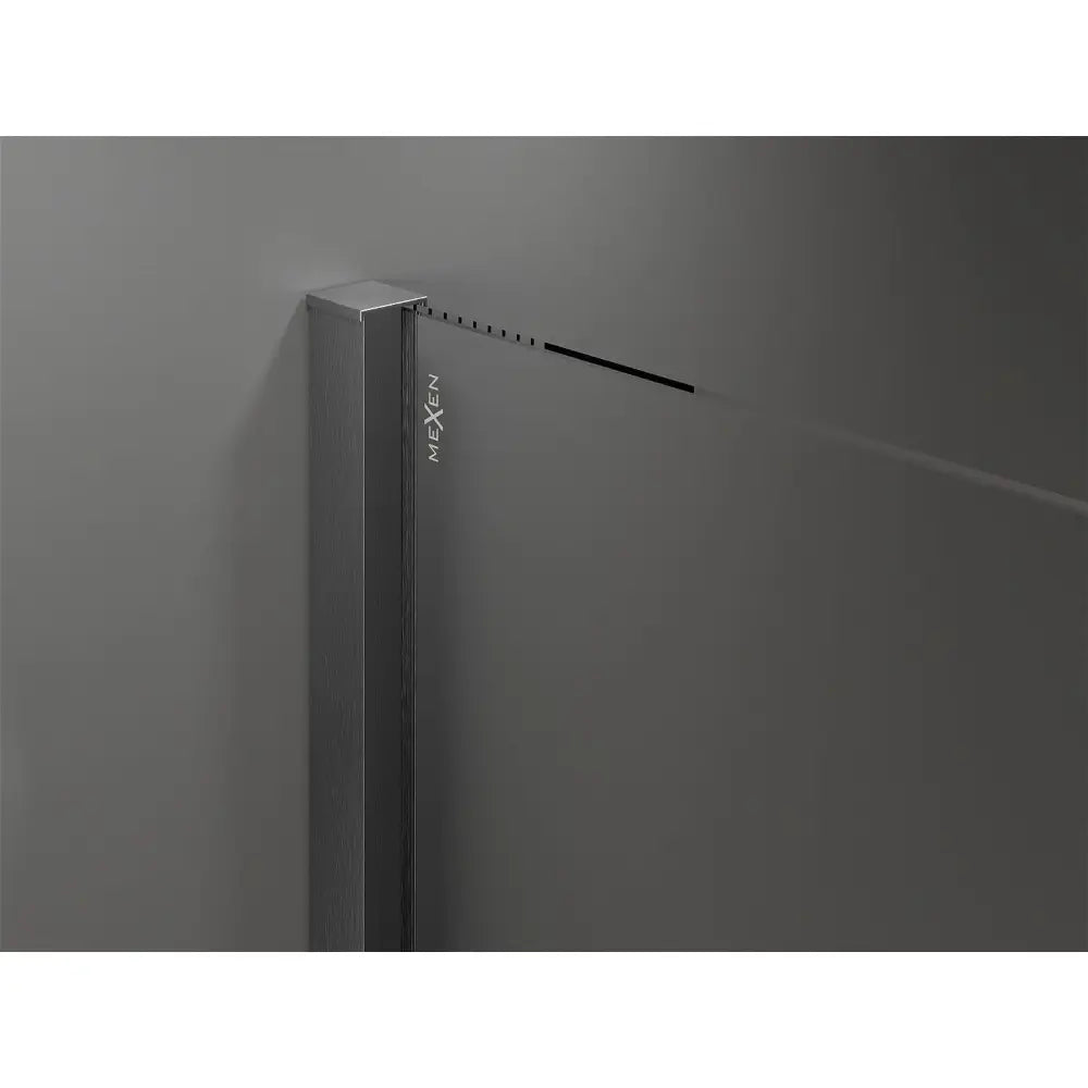 Dusjvegg 70x200 Cm Gjennomsiktig 8 Mm Pistolgrå Børstet