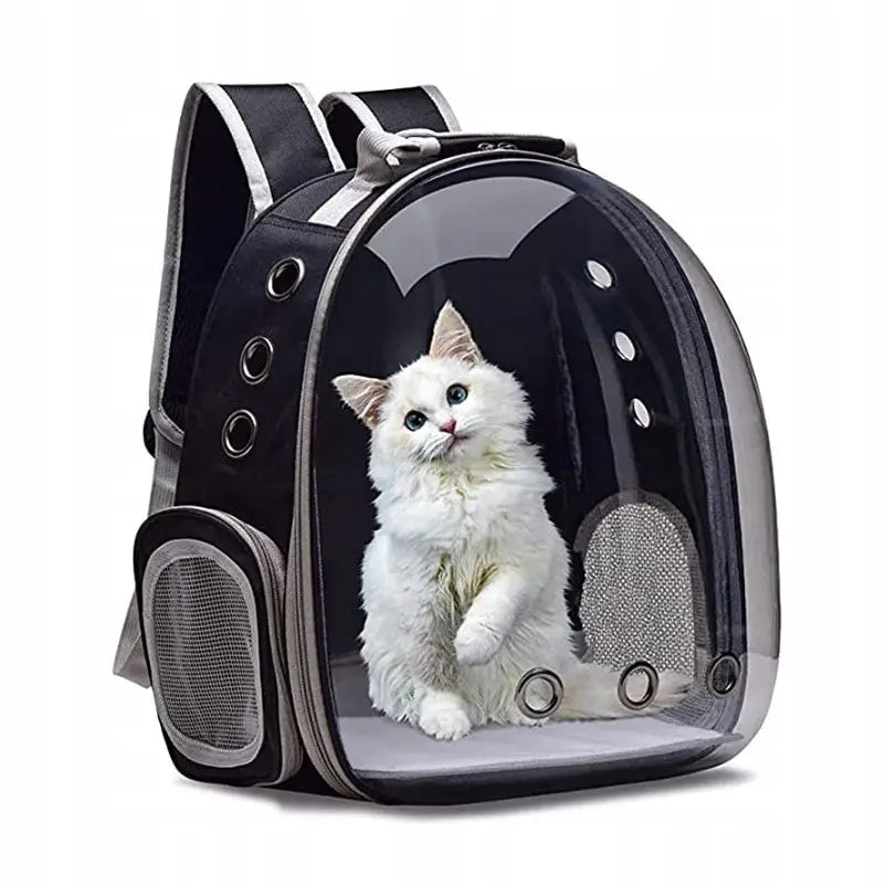 Ryggsekk Bag For Katt Hund Transportør Gjennomsiktig - 1