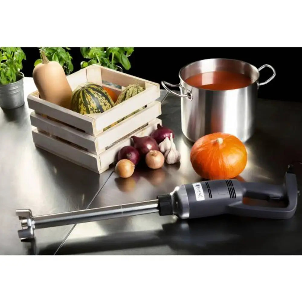 Sterk Håndholdt Blender Med Lang Arm 400mm 500w 230v Royal Catering - Produsentkode: 1007302 - 6